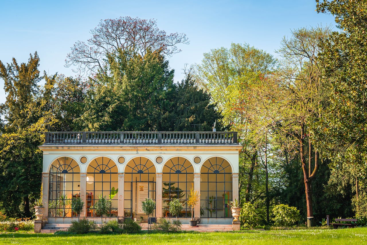 pexels-catalin-todosia-876894548-31609860