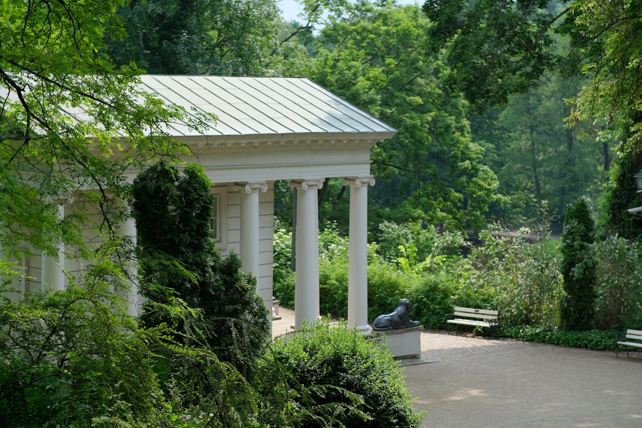 pexels-szafran-32541655